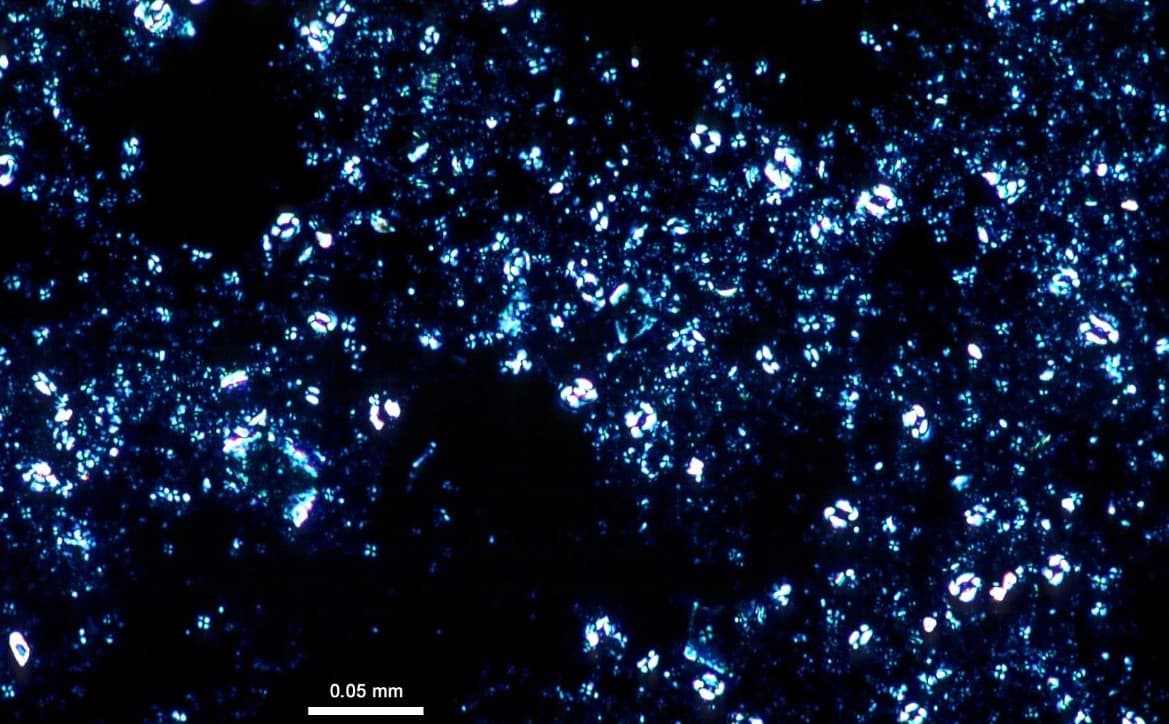 <p>Image source: <a href="https://tmi.laccore.umn.edu/is">https://tmi.laccore.umn.edu/is</a></p>